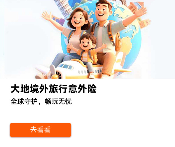 大地境外旅行意外险