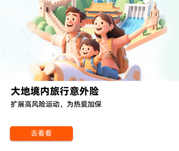 大地境内旅行意外险