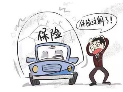 怎么查询自己的车险？