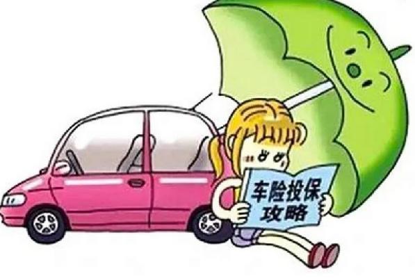 图片7