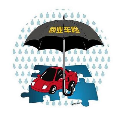 大地交通保险