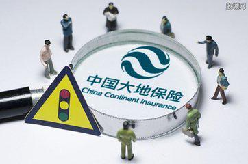 中国大地车险查询险