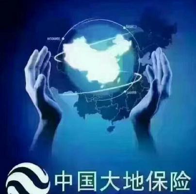 新能源车如何购买车辆保险
