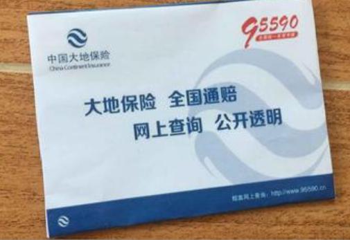 大地车险网上投保