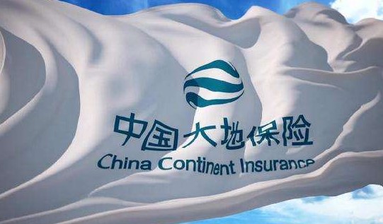 大地团体意外保险