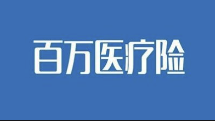 大地医疗百万保险