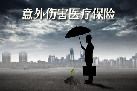 大地意外伤害保险 大地意外伤害保险