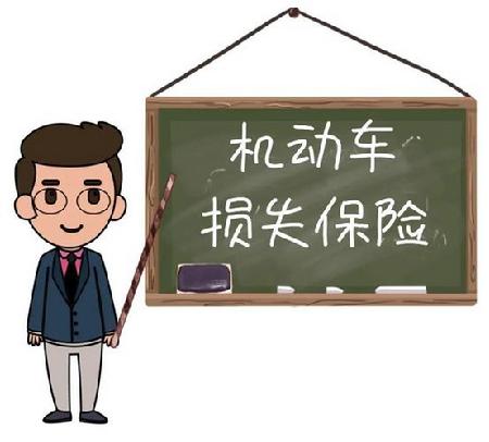 2022年车损险包括哪些项目