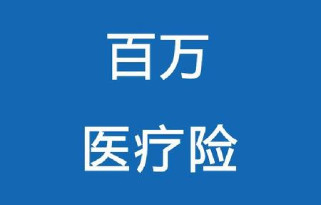 大地百万医疗保险