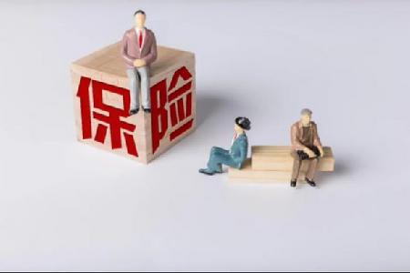 4.选择大地财产保险公司的投保者多吗？这里有哪些保险项目？