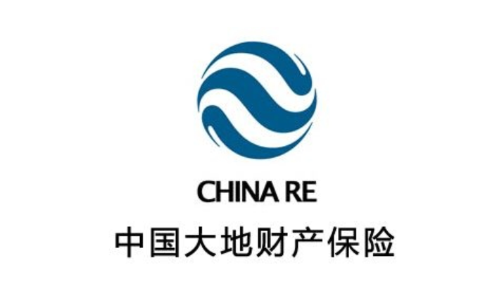 大地财产保险